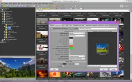 FastStone Image Viewer — скриншот 1
