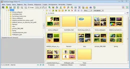 FastStone Image Viewer — скриншот 4